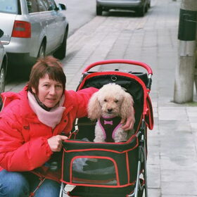 door gezondheidsproblemen in buggy om te wandelen en zo weinig…