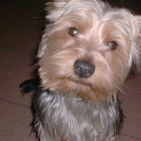Kiekeboe. ;p