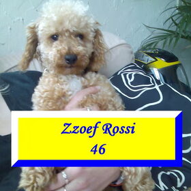 eerste foto van zzoef toen hij net bij ons was. hij was toen…