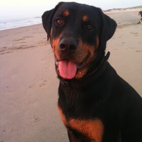 Beach Bink