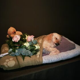 mijn lieveling in het crematorium,nog een laatste knuffel
