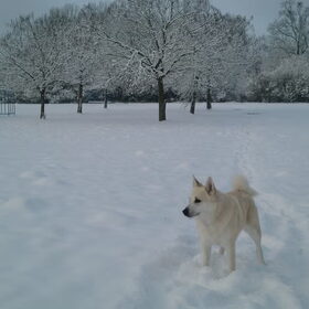 In de sneeuw!