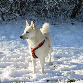 Snow!