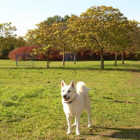 Herfst