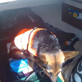in de boot (oosterschelde)