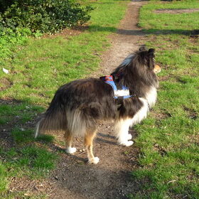 Quinten Tijdens een wandeling. "Oooh ik zie iets leuks!"