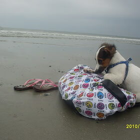 chicky op schiermonnikoog :-)