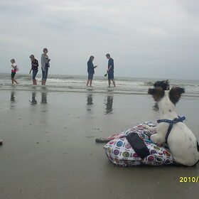 zo mooi :-)