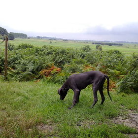 Wandelen!