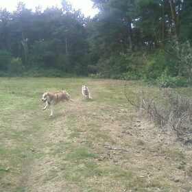 Lex & Noa rondcrossen in het bos!