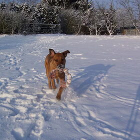 het wonder dat sneeuw heet