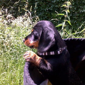 In de fietsmand!18-06-10