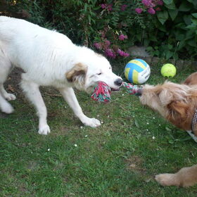 Lekker samen spelen