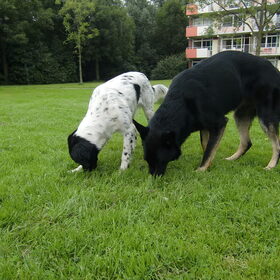 Joukje en Roxy zoeken iets:P
