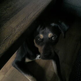 aaaahhhh toe nou kijk nou hoe lief ik kijk!!!!