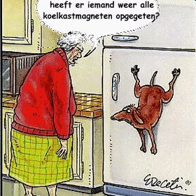 Hondenfoto van Hondenhumor Sasja de Eerste ITC-Hond die nu met pensioen is.