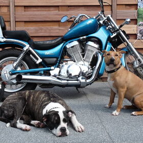 Dana en Xena bij mijn motor.