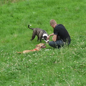 Lekker in het gras
