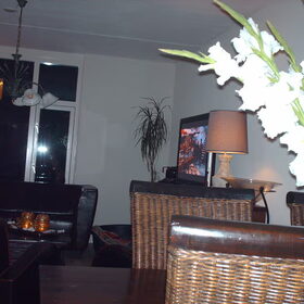 Hondenfoto van liesbeth,Turbo,Luna, Levi en Faith