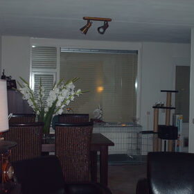 Hondenfoto van liesbeth,Turbo,Luna, Levi en Faith