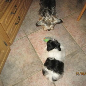 Zo lief samen!!!