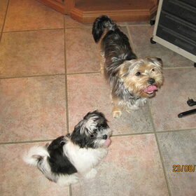 Onze twee lieverds