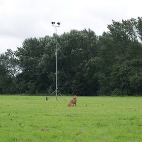 zit oefening van Duco