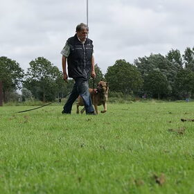appel lopen met Duco