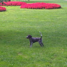 vandaag weer in het park op zoek naar alles dat beweegt :D