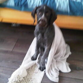bbrrrr brace net klaar met douchen ;) hhahw