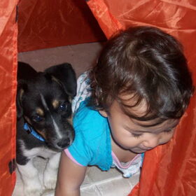 saampjes in de tent