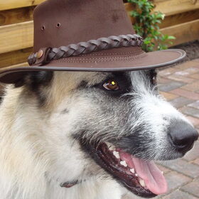 stoere django