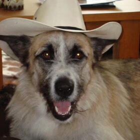 stoere django