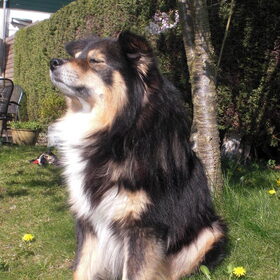 Lekker in de zon