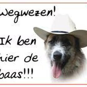 hier waak ik