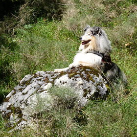 Voltaire in Switzerland heerlijke wandelingen!