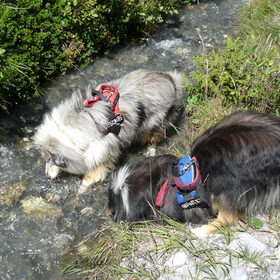Heerlijk water drinken tijdens een wandeling in Zwitzerland. Wat…