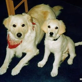 Joy (links) net 1,5 jaar en Jessy net 6 maandjes