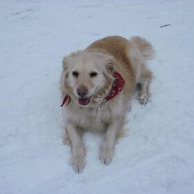 Joy lekker in de snow