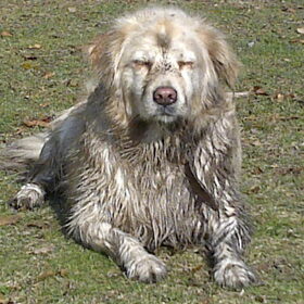 Jaaaa ik ben een waterrat...en daarna een zandrat haha