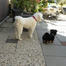 Samen op stap