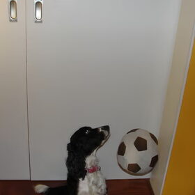 ik ga de bal tegenhouden! ik ben een top-keeper!