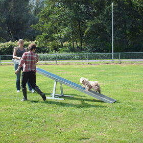Hondenfoto van liesbeth,Turbo,Luna, Levi en Faith