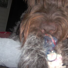 fester licht weer op mijn been '-'