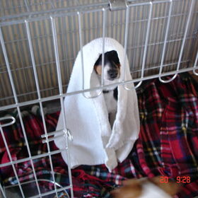 Jerry als darth father ! :D