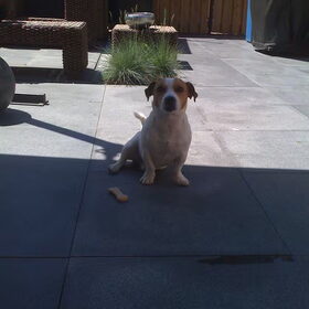 in de tuin :)