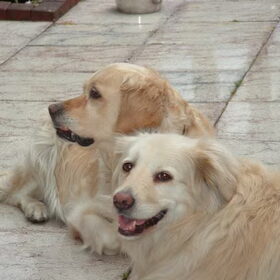 De 2 grote dames