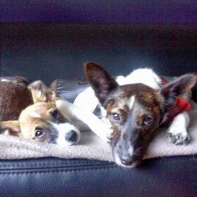 Lekker met z'n tweetjes op de bank chillen