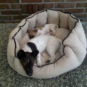 Onze nieuwe mand