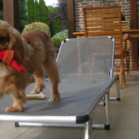 op de ligstoel ;0